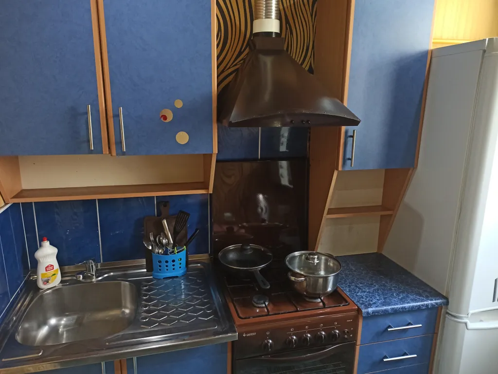 Комфортная квартира в Гомеле на Соже