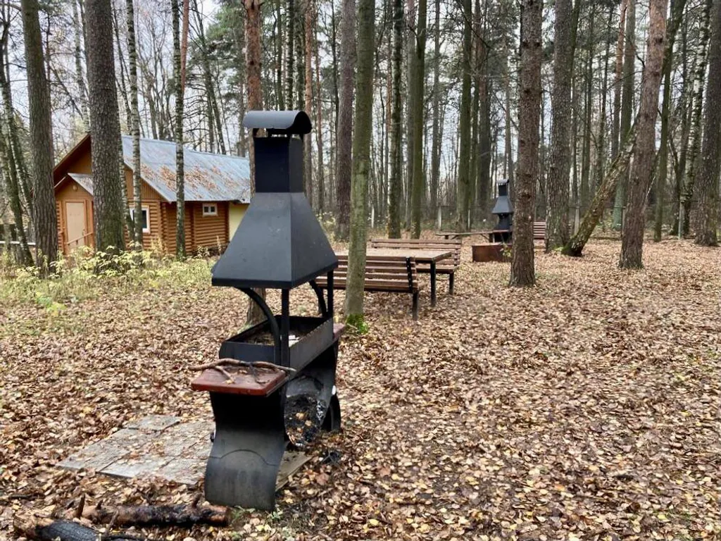 Loft apartment в сосновом лесу