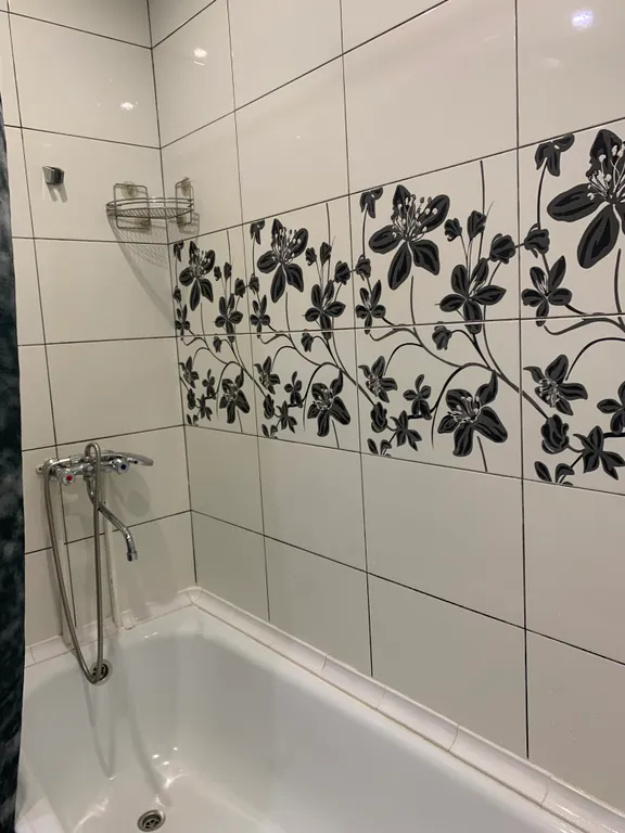 Большая однокомнатная квартира с видом на Китай