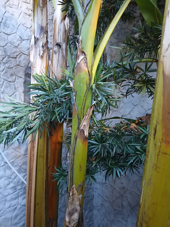 Коттедж Коттедж Золотое место — Сочи