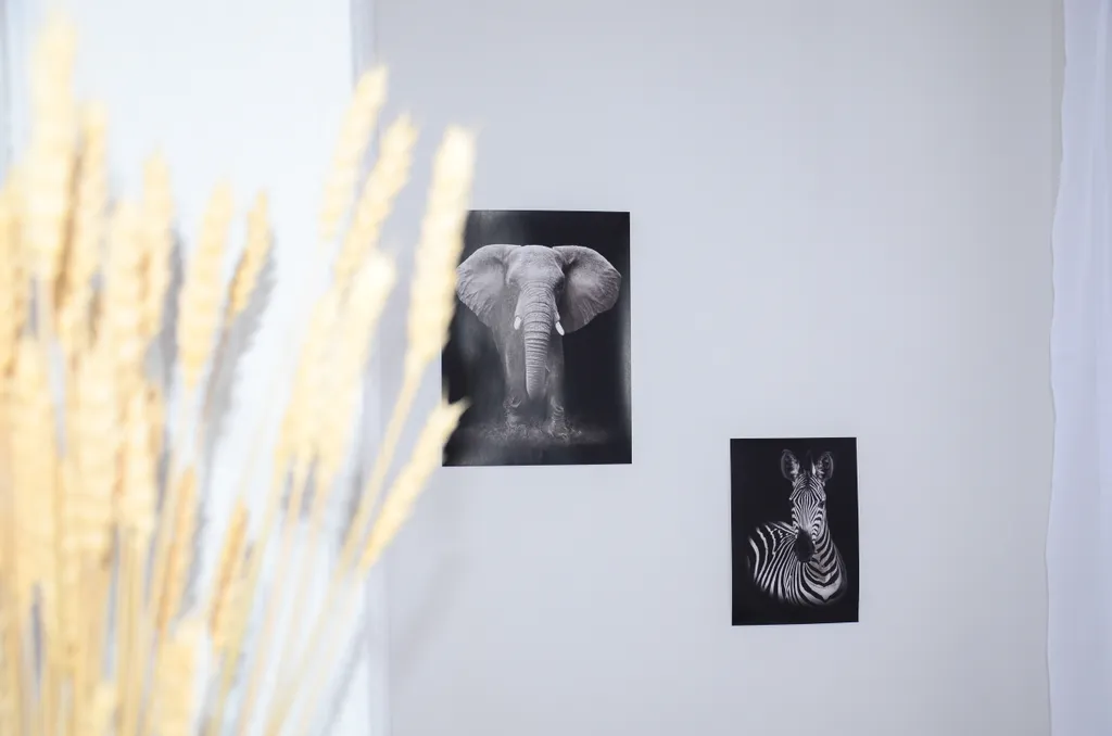 Студия класса люкс