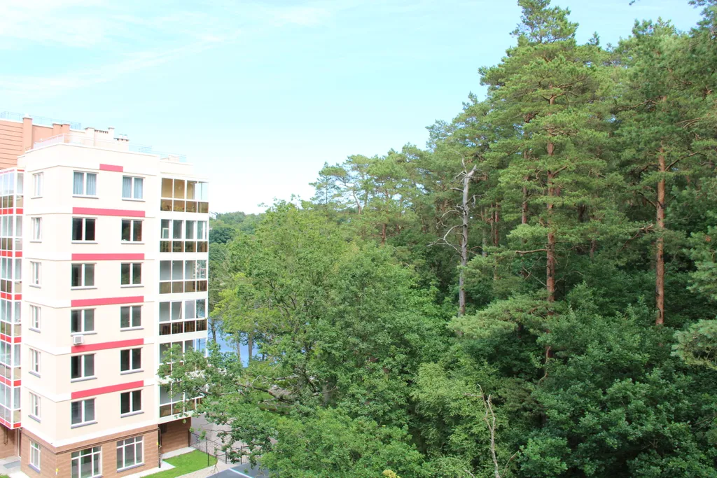 Квартира Квартира Kordero apartment — Светлогорск