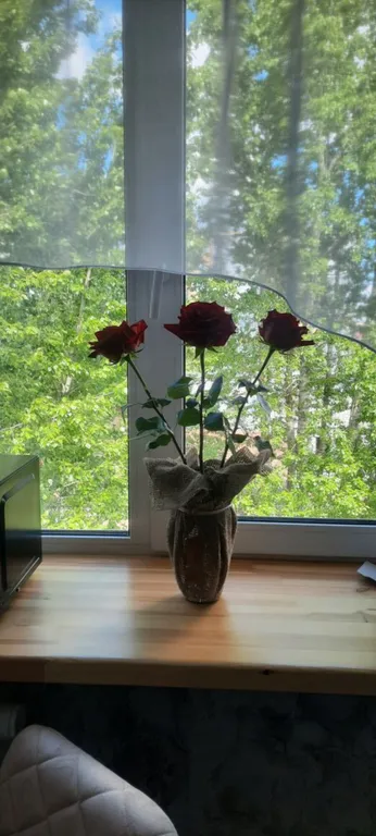 Тёплая квартира с кондиционером. Центр заезд бесконтактно