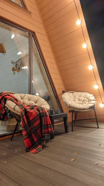 Стильный треугольный дом с видом на лес