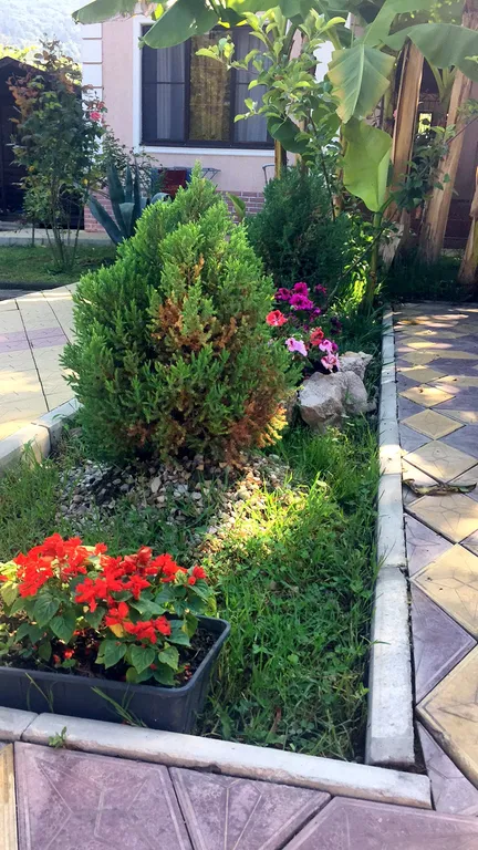 Квартира Комната — Гагра