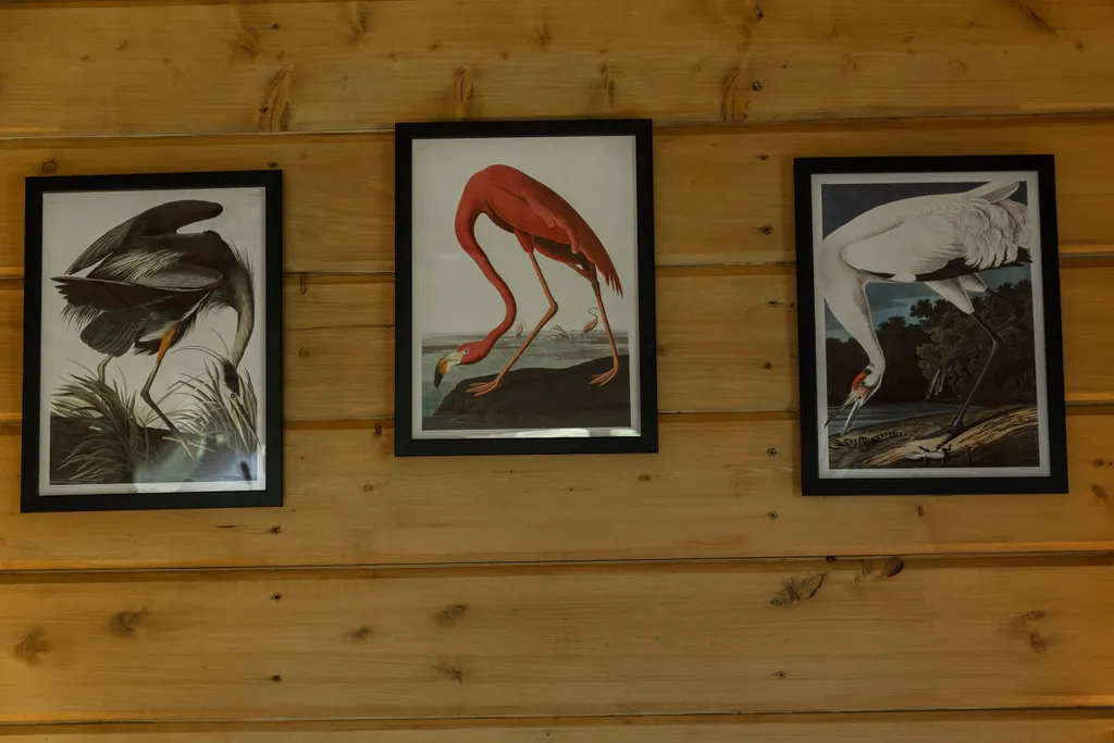 Коттедж 42 метра в лесу у пруда