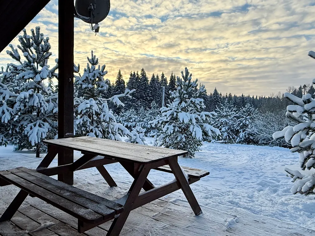 Коттедж с сауной и панорамным остеклением