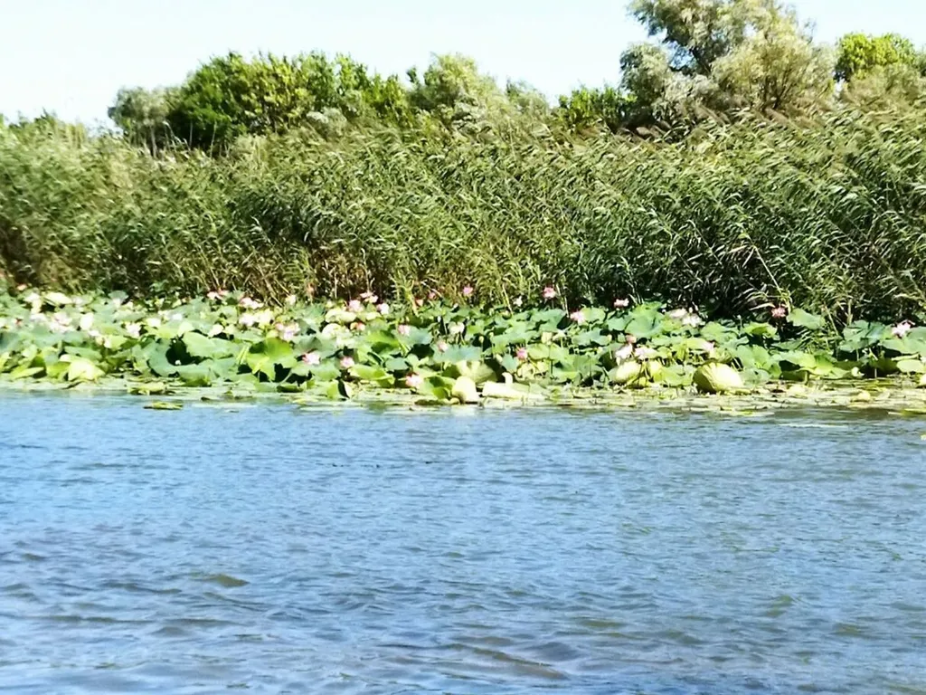 Уютный дом для отдыха