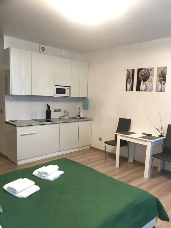 Квартира Квартира Уютная студия для командировочных и пар с детьми — Шушары