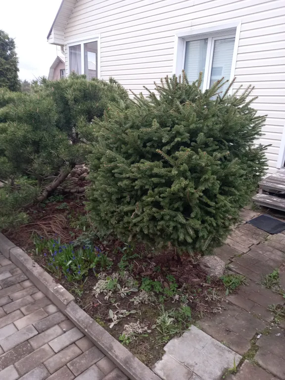 Коттедж Коттедж в получасе езды от Невского проспекта — Янино-1