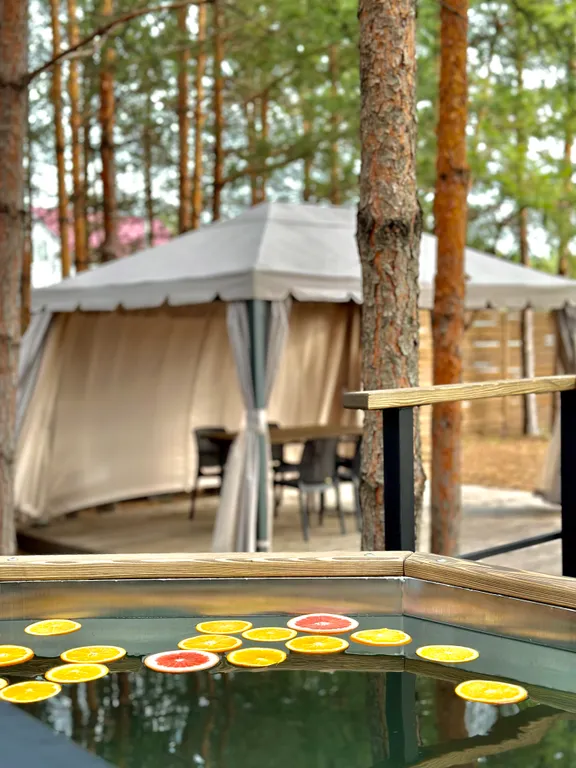 Домик в сосновом лесу