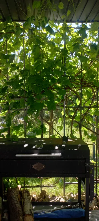 Дом с видом на море и отдельно стоящей баней.