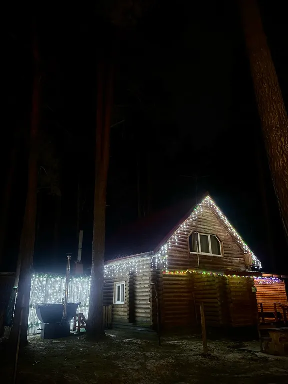 Уютный коттедж в лесу