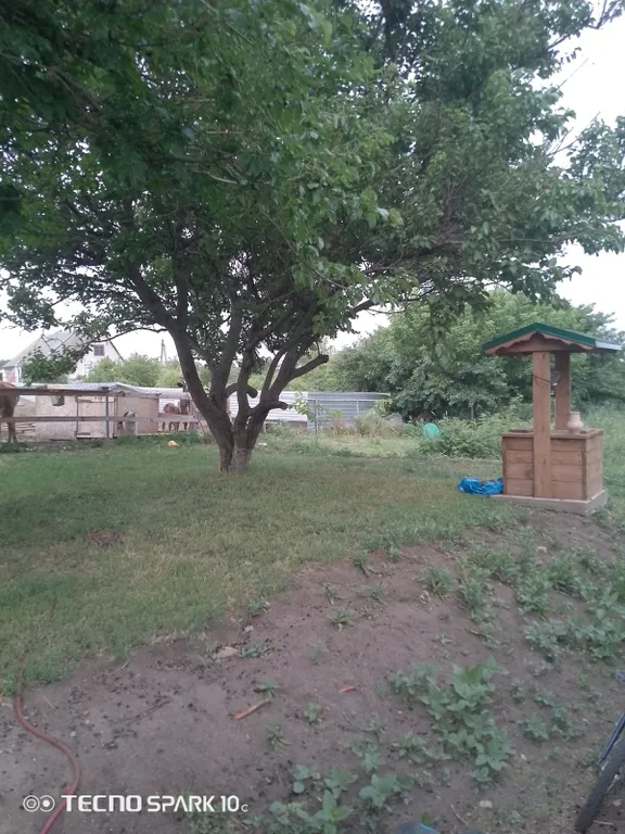 Графити фолз