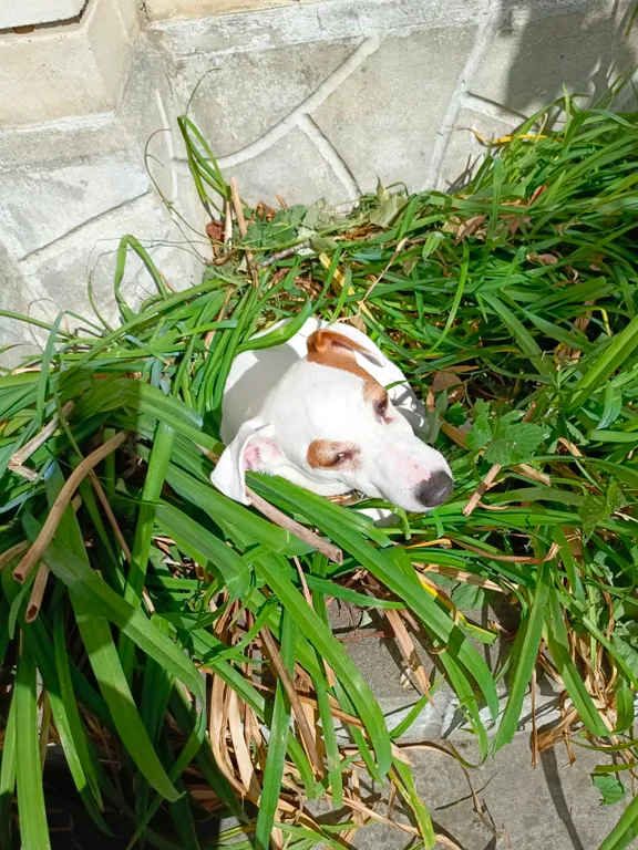 5-комнатный Дом