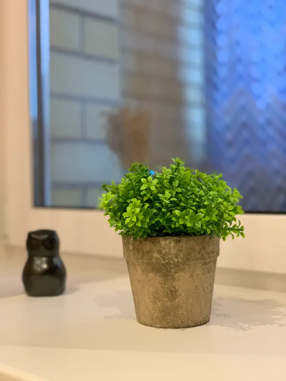 Завидово Свежий воздух