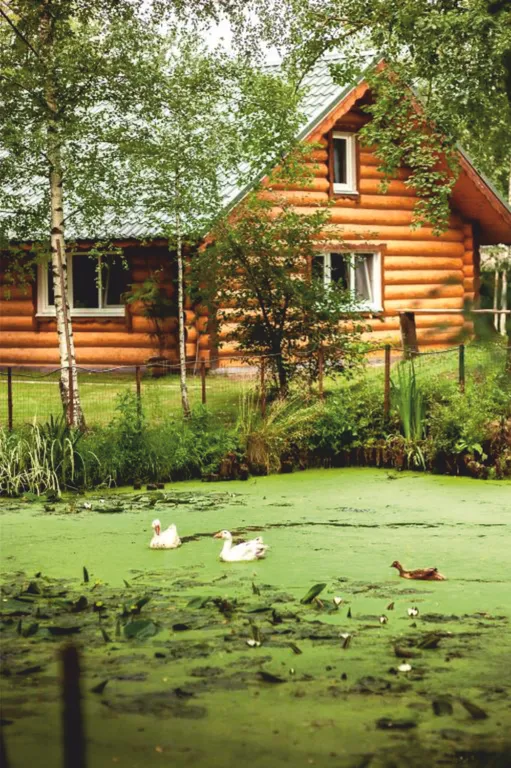 Коттедж Коттедж Настоящая русская изба Николаича — Рузино