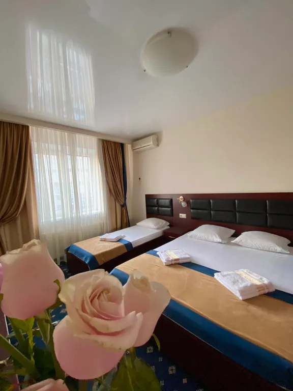 Трехместный номер Люкс