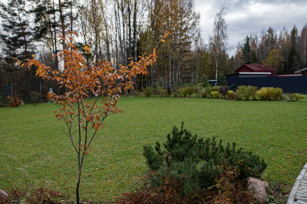 Коттедж с баней