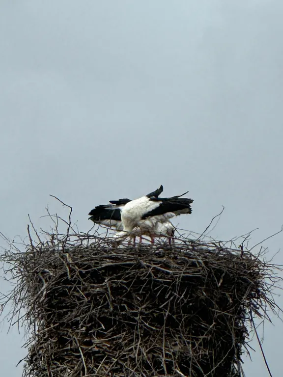 4-комнатный Дом