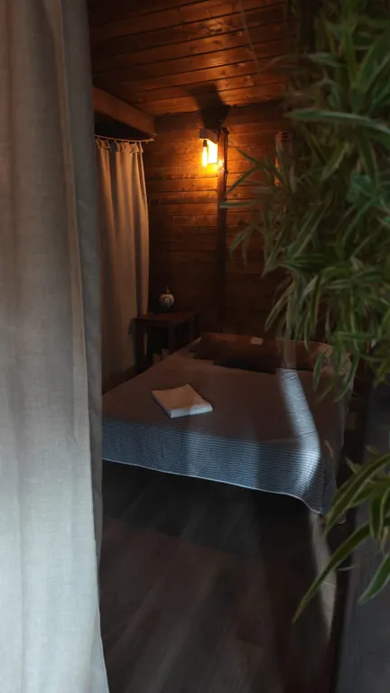 Большой дом