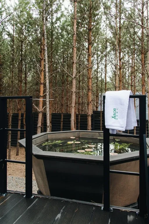 Дом хвоя светлый