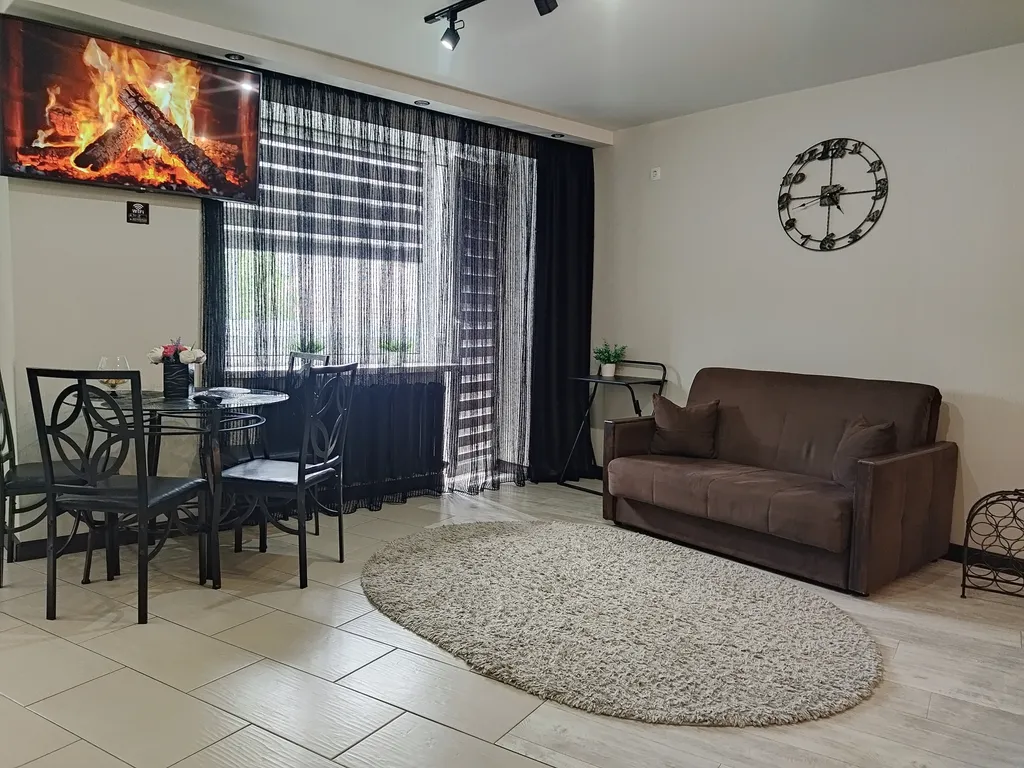 Квартира студия у Лидского замка