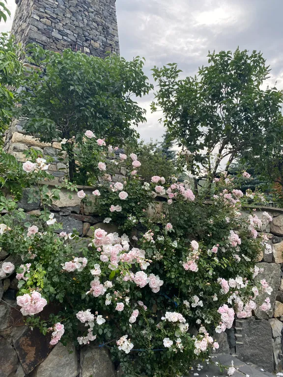 Дом AM House Nova Fiagdon