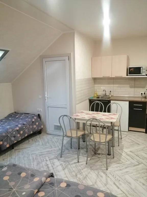 Квартира Квартира Студия в Олимпийском парке — Сириус