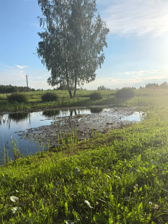 Семейный улучшенный