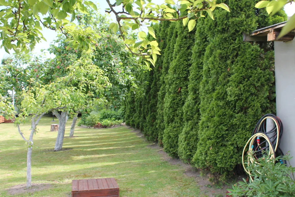 Коттедж Коттедж Лайтхаус Кот Маркиз 1Б — Зеленоградск