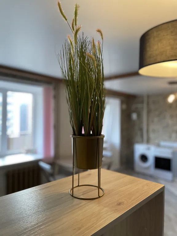 Красивая и уютная квартира около Ледового дворца и Аквапарка