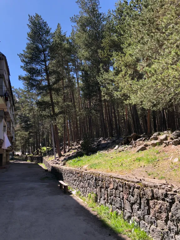 Уютная светлая квартира в лесу среди гор