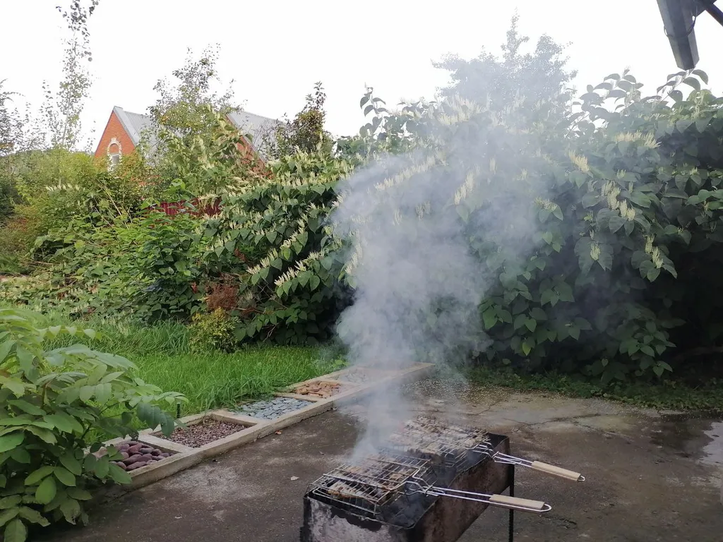 Дом Орешек на берегу Катуни