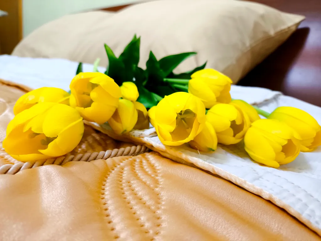 Уютная квартира в центре Харгоры