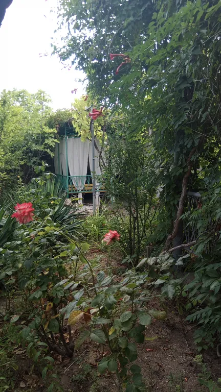 Квартира Квартира Комфорт 4-х местный — Новоотрадное