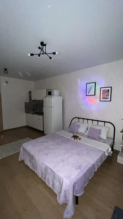 Студия Академ