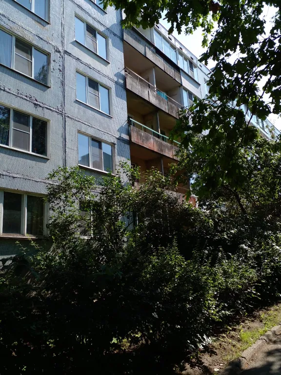 Квартира в Пушкинских Горах