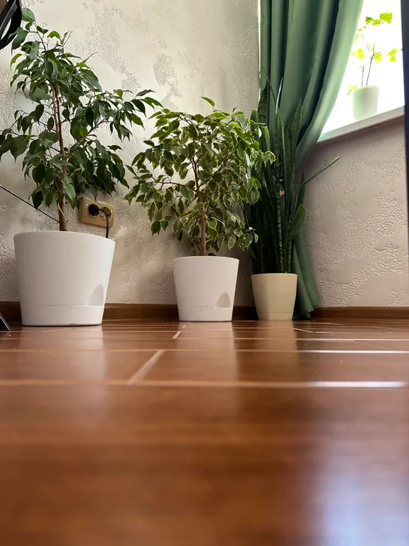 Квартира Уютная квартира — Анапа