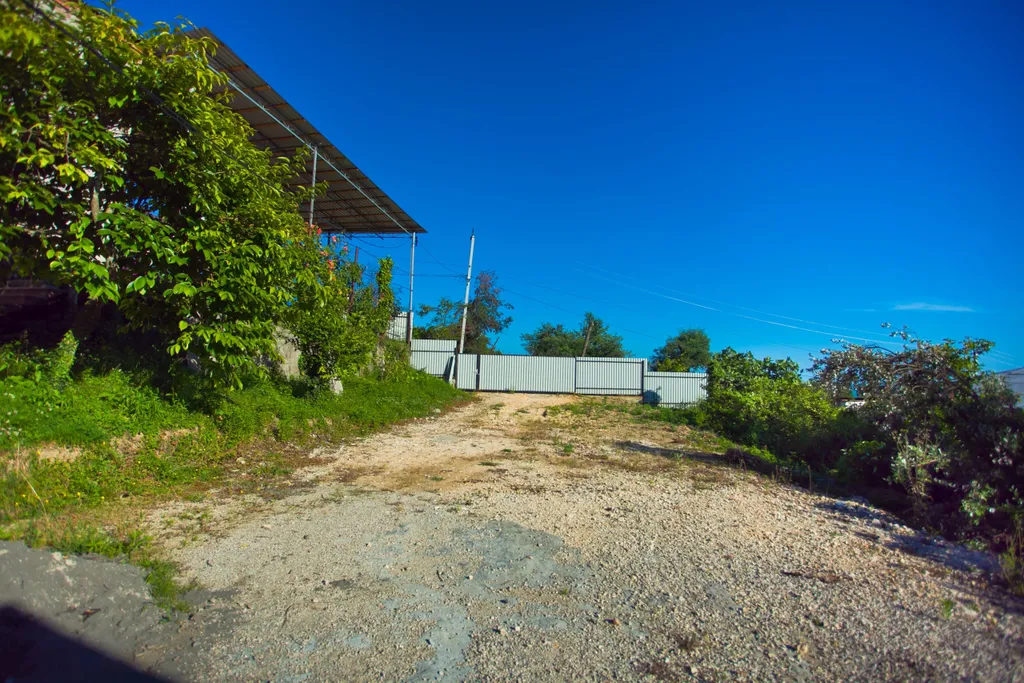 В гостях у Аиды