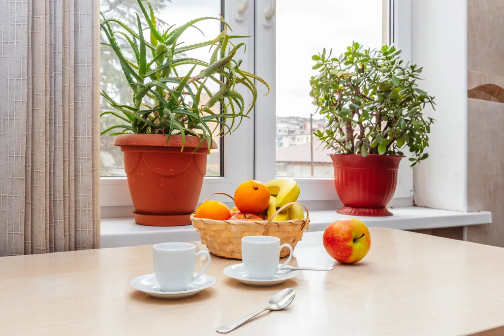 Квартира Квартира в центре города — Сухум