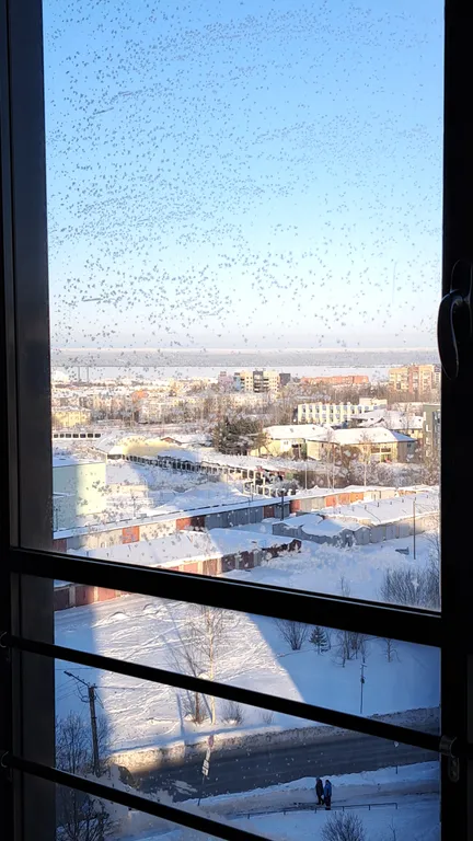 Квартира у кадетского училища