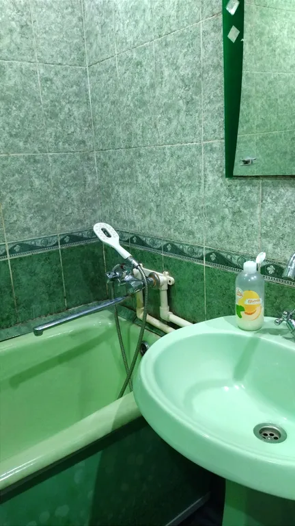 Уютная однокомнатная квартира