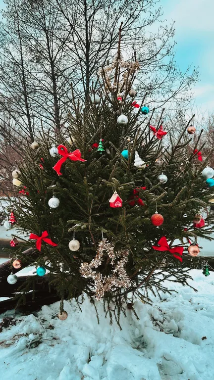 Коттедж Дом с видом на реку — Толстобино