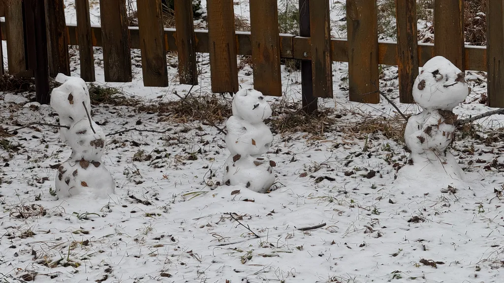Дом Тихий Бор в березовом лесу