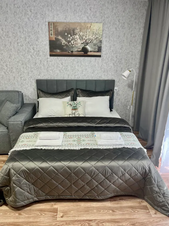 Квартира Уютная квартира в центре. 10 мин ЖД Вокзал. 40-60 мин Аэропорт. — Красноярск