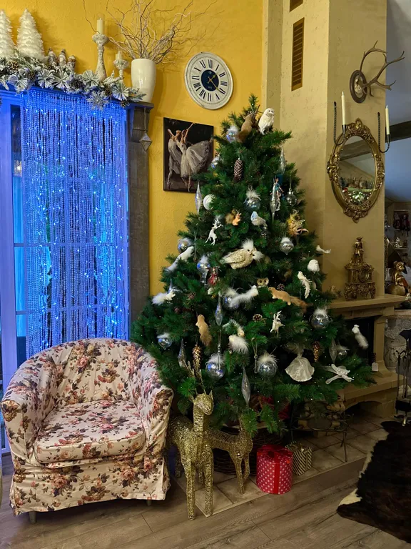 Гостевой фотодом Зазеркалье