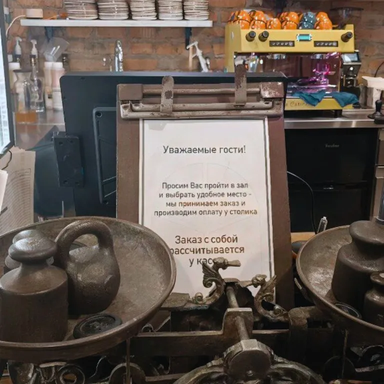 Студия Скандинавский лес с видом на Шуваловский парк