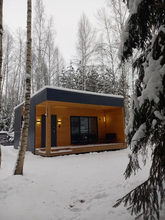 Дом Барин Лес