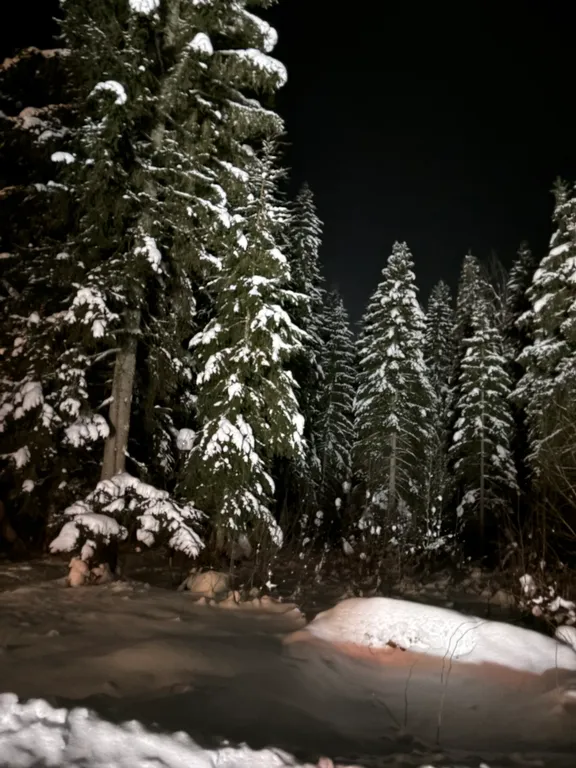 Домик в лесу с баней